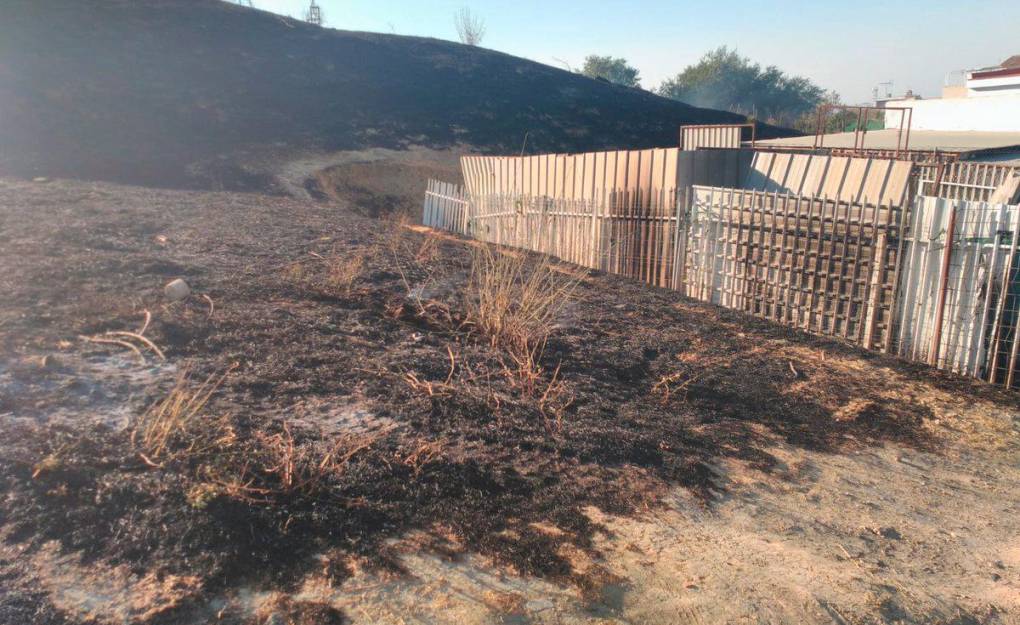 Abandonan el proyecto de reforestación en Camas tras un nuevo incendio