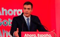El secretario general del PSOE y presidente del Gobierno en funciones, Pedro Sánchez. / EFE
