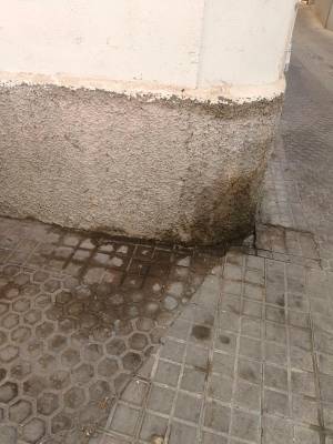 El PP denuncia el abandono del barrio de San Bartolomé, con suciedad, ratas y cucarachas