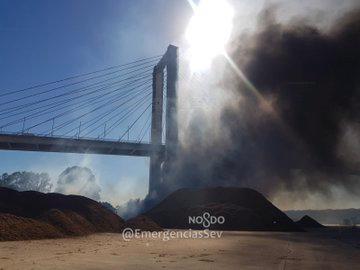 Un incendio bajo el puente del Centenario causa una gran columna de humo y afecciones al tráfico