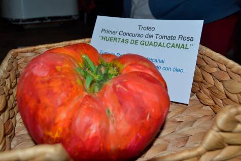 Guadalcanal bendice la huerta con el primer concurso de tomate rosa