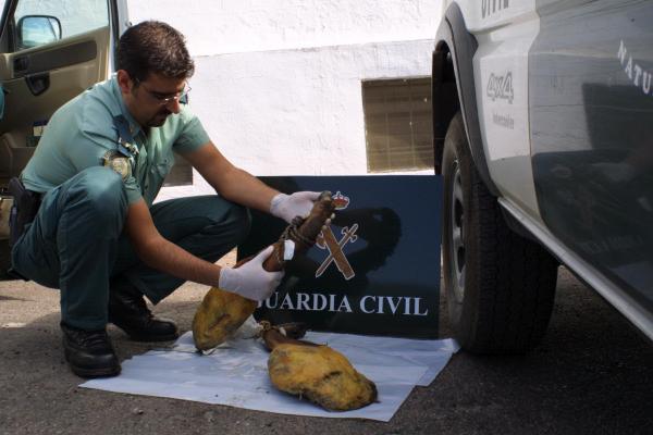 Un agente de la Guardia Civil examina jamones incautados.