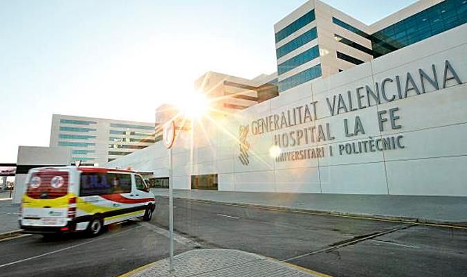 Hospital de La Fe de Valencia. / EFE