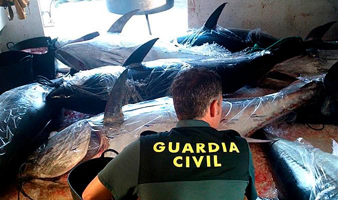 Intervención de atunes rojos por la Guardia Civil. / El Correo