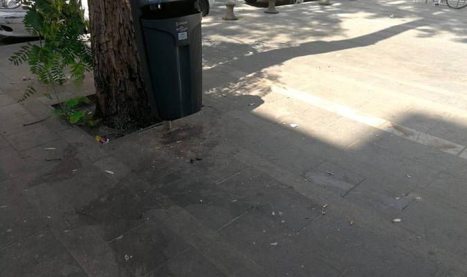 El PP denuncia el abandono del barrio de San Bartolomé, con suciedad, ratas y cucarachas