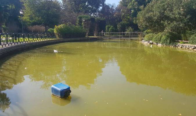 Estado de suciedad que presenta el estanque del Parque de Los Príncipes. Fotos: El Correo. 