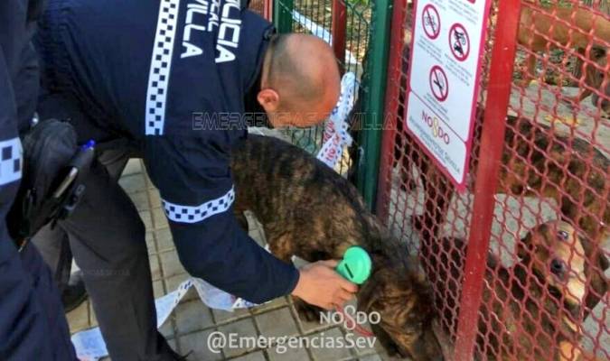 González Rojas: «El caso de los 18 perros abandonados evidencia la mala gestión del Zoosanitario»