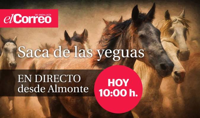 Saca de las Yeguas de Almonte 2019