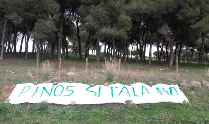 Los vecinos de Alcalá se movilizan por la tala de 877 pinos en un paraje privado