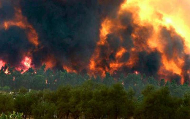 Berrocal, el pueblo que se muere 15 años después del mayor incendio que ha sufrido Andalucía