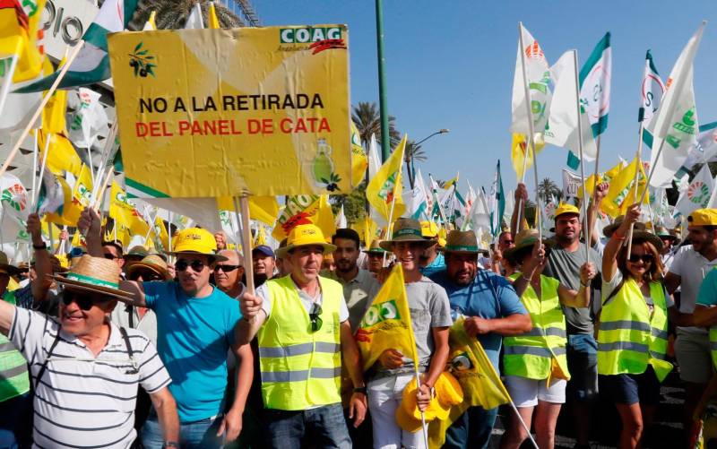 Miles de olivareros protestan en Sevilla por la crisis de precios