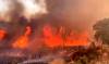 Sigue la lucha contra el fuego en El Ronquillo con zonas de abundante material combustible