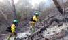 Estabilizado el incendio forestal en Pujerra en Málaga