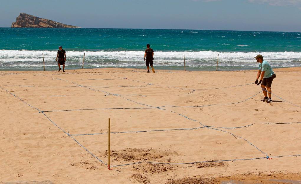Así está parcelada la primera playa grande de España