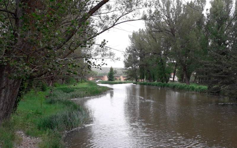 Imagen del río Duero. / Fotografías de Concha García