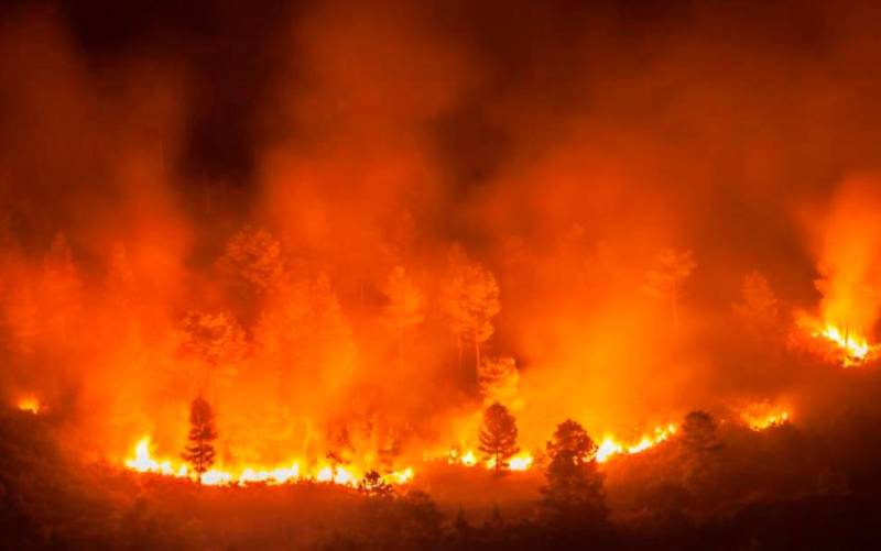 Uno de los incendios que están arrasando la Amazonia. / Europa Press