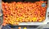 Recuperan 700 kilos de mandarinas robadas en Sevilla