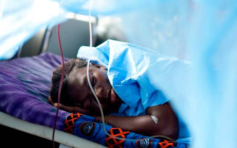 La OMS teme decenas de miles de muertes adicionales por malaria en la pandemia