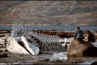 ‘Leviathan’ es una película pausada que va construyendo un mundo terrible hasta que atrapa al espectador definitivamente. / El Correo