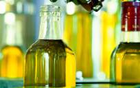 Alertan de marcas de aceite de oliva mal etiquetado