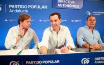 El presidente del PP-A y de la Junta, Juanma Moreno preside la Junta Directiva Regional del partido. / E.P.