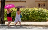 Sevilla sufre una media de doce días de calor extremo al año en el último cuarto de siglo