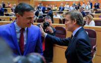 Sánchez y Feijóo protagonizan un cara a cara en el Senado con aire electoral