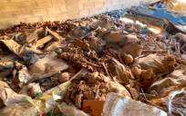 Polémica por el hallazgo de restos humanos en una escombrera de San Fernando