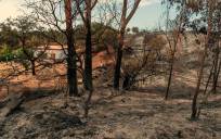 Viviendas afectadas en un paraje de El Ronquillo donde se declaro un incendio forestal. / EFE