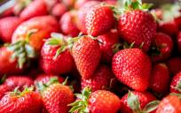 ¿Pueden las fresas hacernos más sanos y felices?