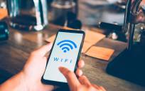 La innovación en tecnología WiFi es la gran fortaleza de la empresa sevillana Galgus, que para ampliar su plantilla tiene abiertas 14 ofertas de empleo, unas para el área comercial y otras para la técnica.