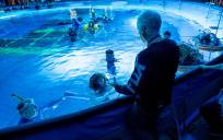 ‘Avatar: El sentido del agua’ llega a 416 cines con 150.000 entradas vendidas