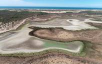 La última laguna permanente de Doñana se seca por la sequía