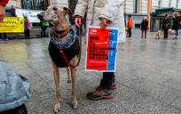 Animalistas se manifestan contra la exclusión de los perros de caza de la ley de bienestar