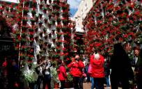 Córdoba recupera sus Cruces de Mayo después de dos años