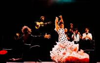 Los flamencos y sus complejos