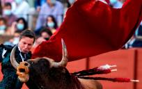 El diestro Diego Urdiales con su segundo toro. EFE/Raúl Caro