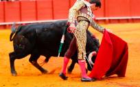 El matador sevillano Juan Ortega en la feria de San Miguel de 2021. Foto: Arjona-Pagés 