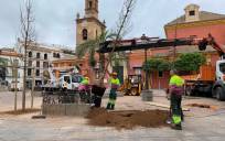 Arranca la plantación de nuevos árboles en San Lorenzo