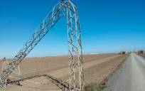 Una de las torres eléctricas caídas sobre los campos en el sector B-XII de Lebrija.