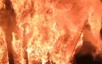 Sofocan un incendio en un vivero de La Rinconada