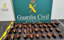 Imagen de los 38 caracoles incautados por Agentes de la Guardia Civil de la Sección Fiscal y de Fronteras del aeropuerto de Bilbao. EFE/GUARDIA CIVIL 
