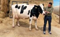 El candidato del PP-A a la reelección como presidente de la Junta, Juanma Moreno, ha repetido en esta campaña electoral foto con su "amiga" y "talismán" la vaca Fadie.