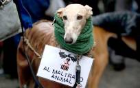 Imagen de una manifestación en favor de una ley contra el maltrato animal. / EFE