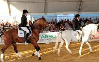 Feria del caballo de Fuentes de Andalucía. / M.R.