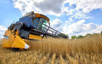 Una cosechadora recolecta trigo en un campo cerca de Járkov, Ucrania. / EFE