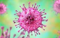 El citomegalovirus (CMV).
