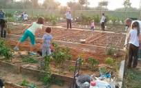 220 plazas para niños de Sevilla en talleres de huertos urbanos