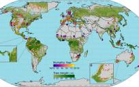 En la imagen, la distribución global de los eventos de mortalidad registrados en bosques de todo el mundo. Imagen cedida por la Universidad Politécnica de Madrid (UPM). EFE