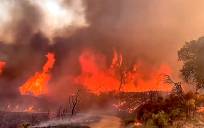 Imagen del incendio de El Ronquillo. / Plan Infoca